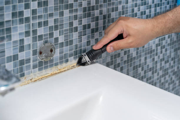 Best Mold Remediation for Specific Building Types in Canton, MS